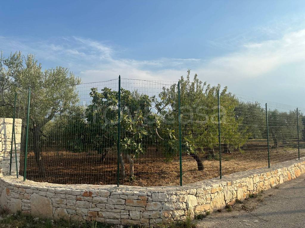 immagine annuncio 1 di 3
