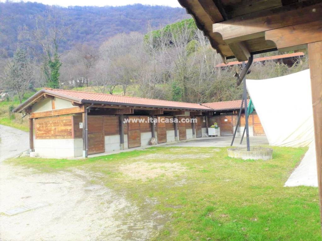 immagine annuncio 2 di 14