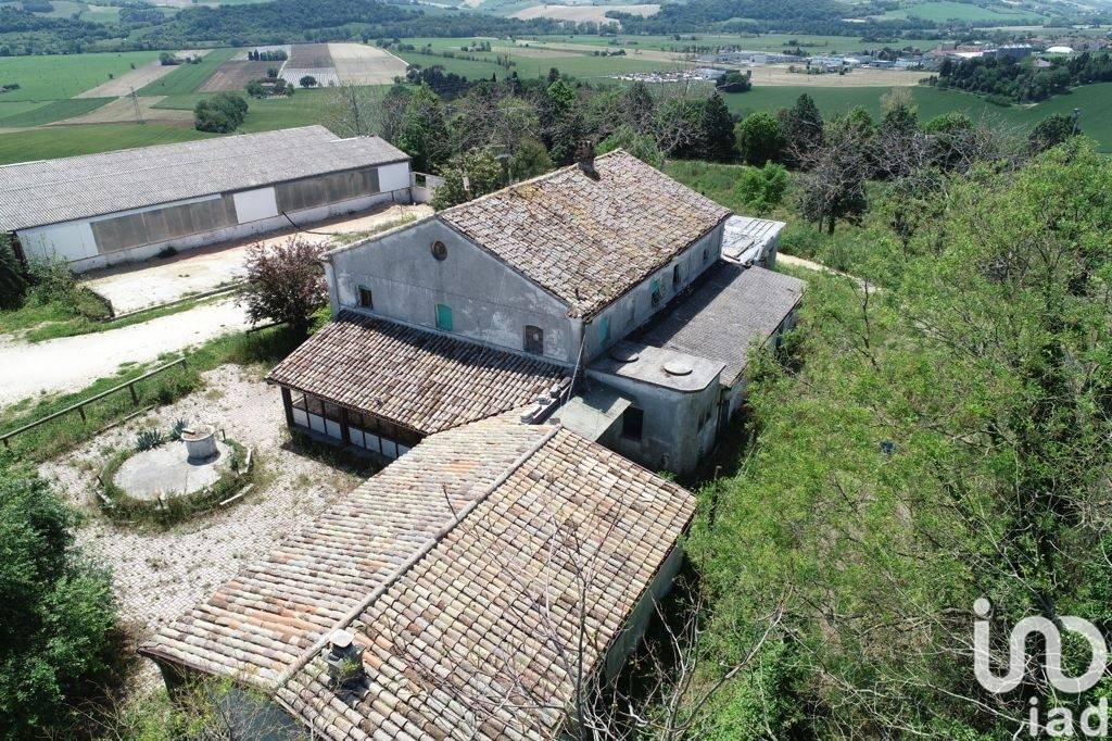immagine annuncio 1 di 13