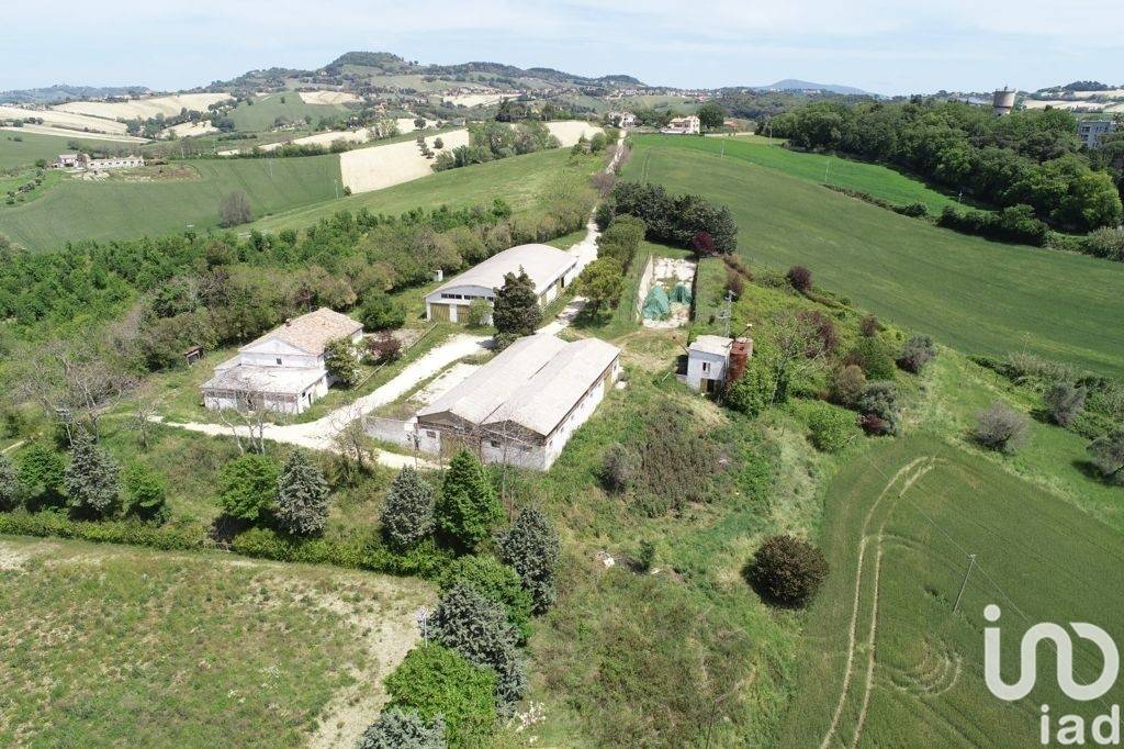 immagine annuncio 5 di 13