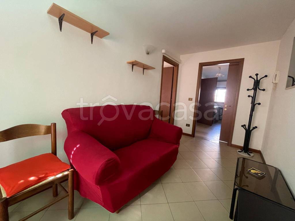 immagine annuncio 2 di 14