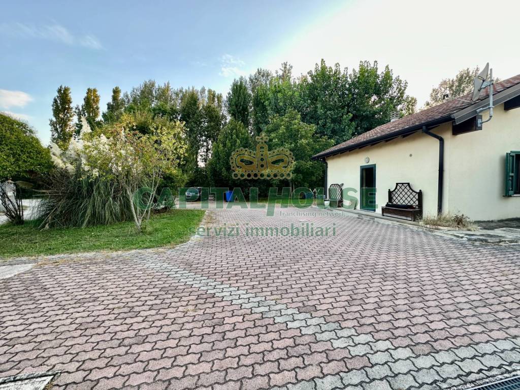 immagine annuncio 12 di 15