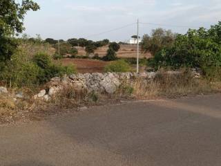 Terreno agricolo in vendita a martina franca contrada lentini, 1