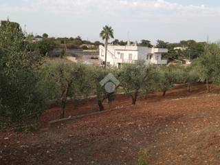 Terreno agricolo in vendita a martina franca strada cupina