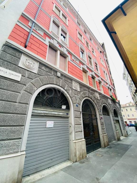 immagine annuncio 12 di 14
