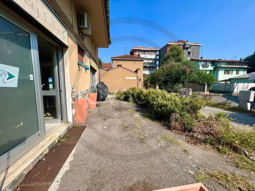 immagine annuncio 3 di 15