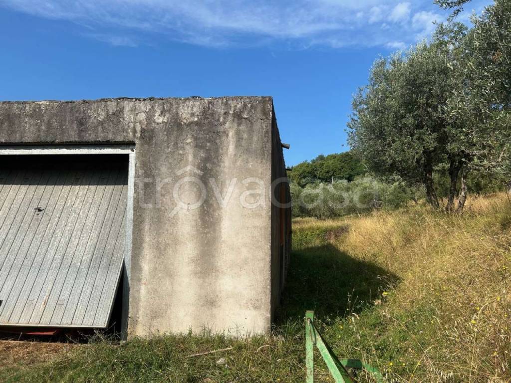 immagine annuncio 4 di 11