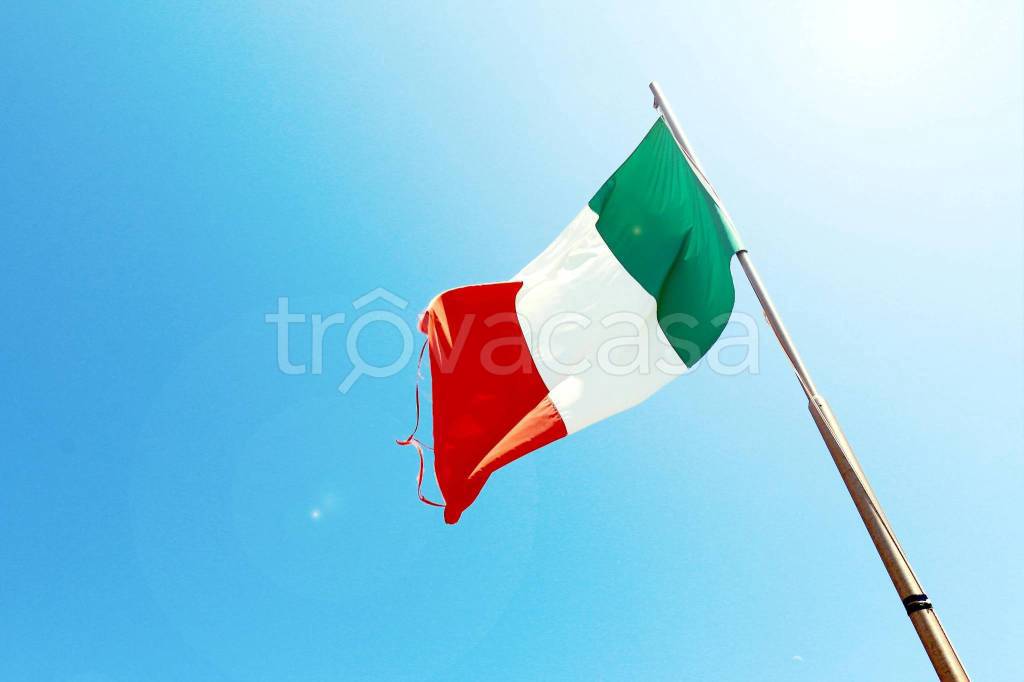 immagine annuncio 12 di 14
