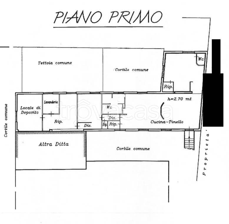 immagine annuncio 12 di 15