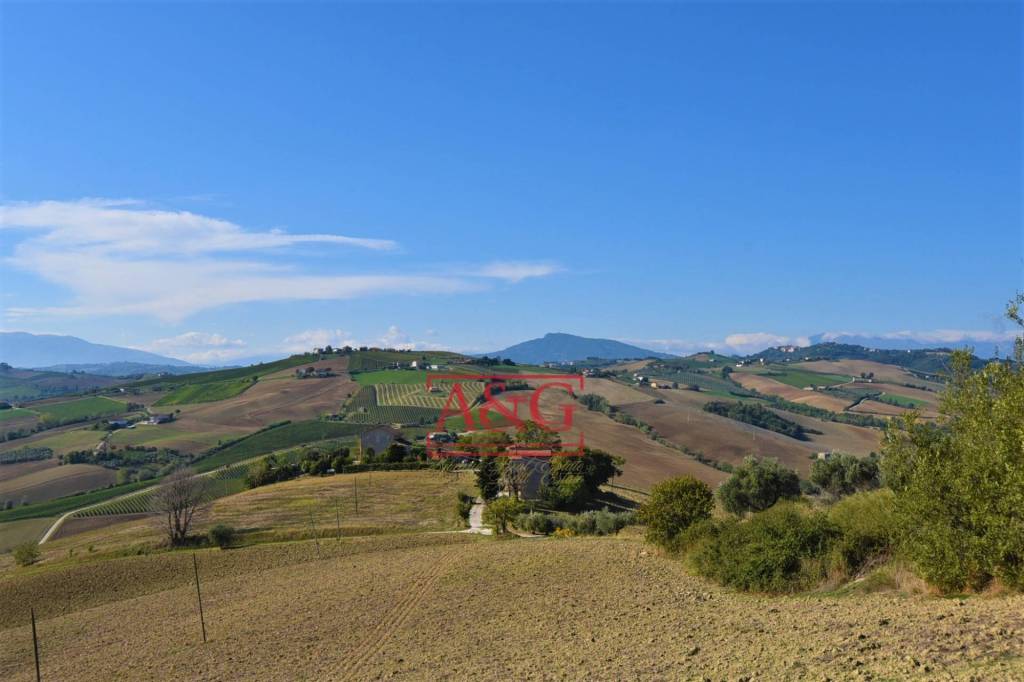 immagine annuncio 4 di 7