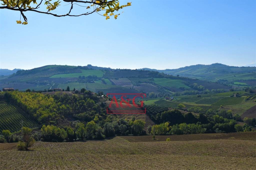 immagine annuncio 5 di 7
