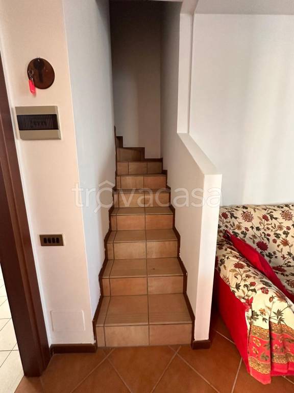 immagine annuncio 9 di 14