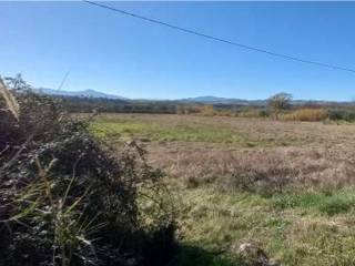 Terreno agricolo in vendita a montalbano jonico sp154