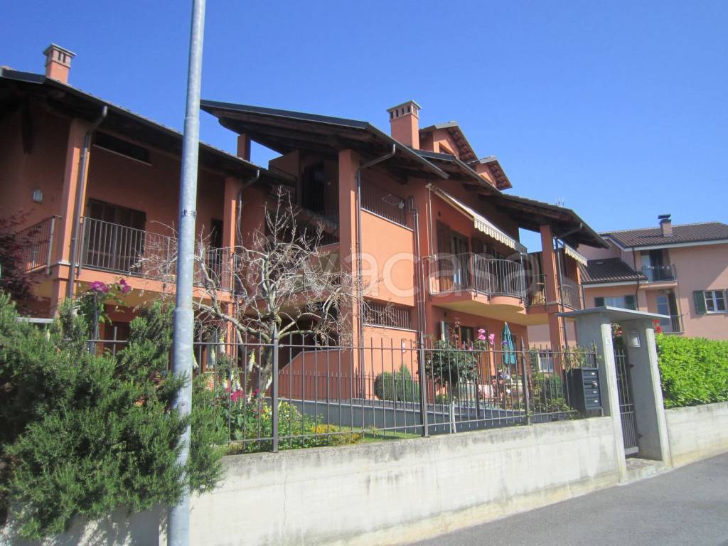 immagine annuncio 12 di 13