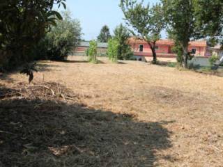 Terreno agricolo in vendita a massa via ortola