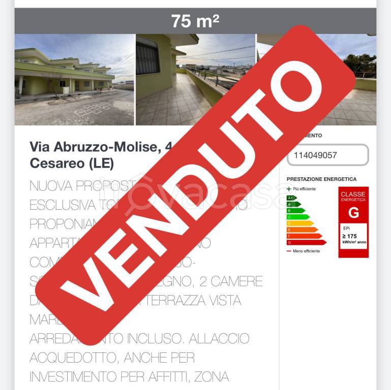 immagine annuncio 2 di 15