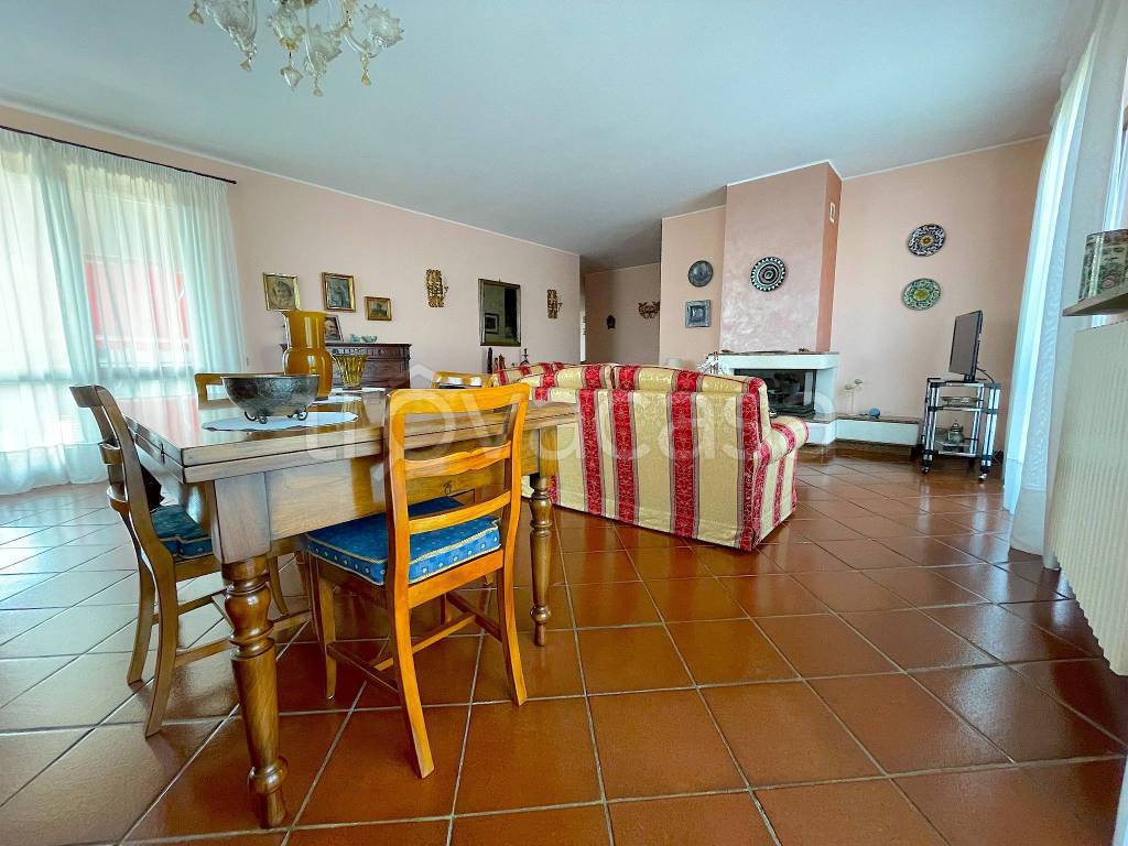 immagine annuncio 9 di 15