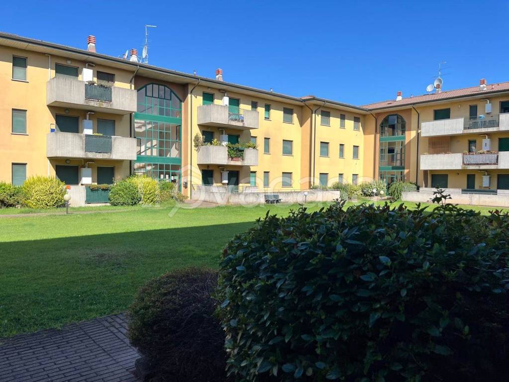 immagine annuncio 7 di 8