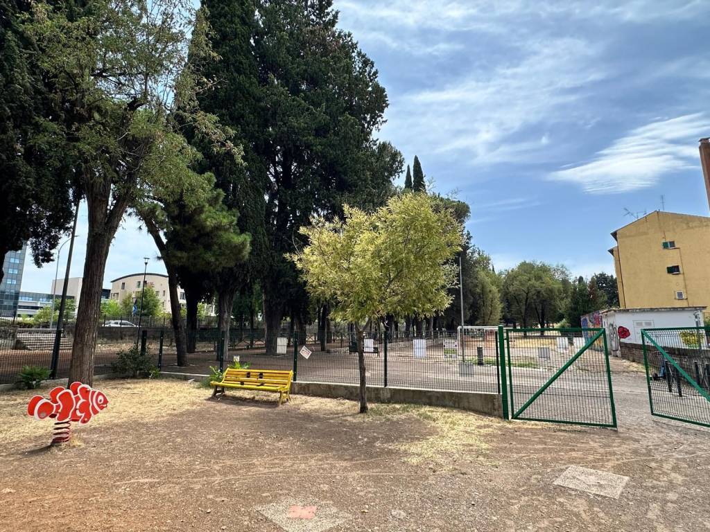 immagine annuncio 12 di 14
