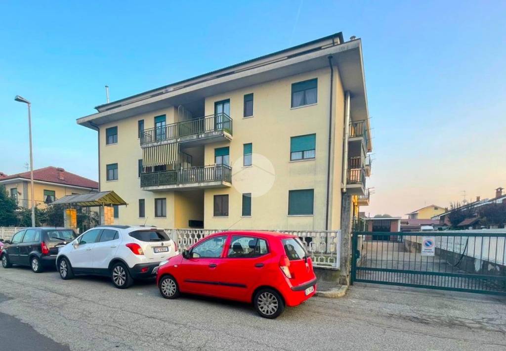 immagine annuncio 1 di 14