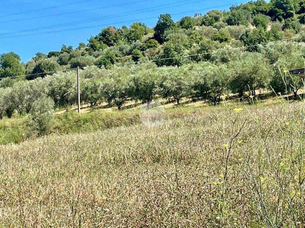immagine annuncio 8 di 10