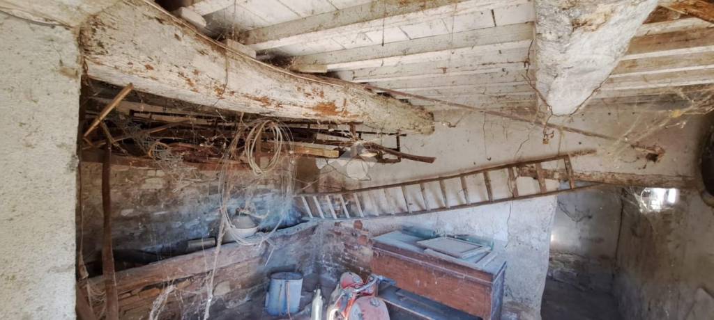 immagine annuncio 8 di 13