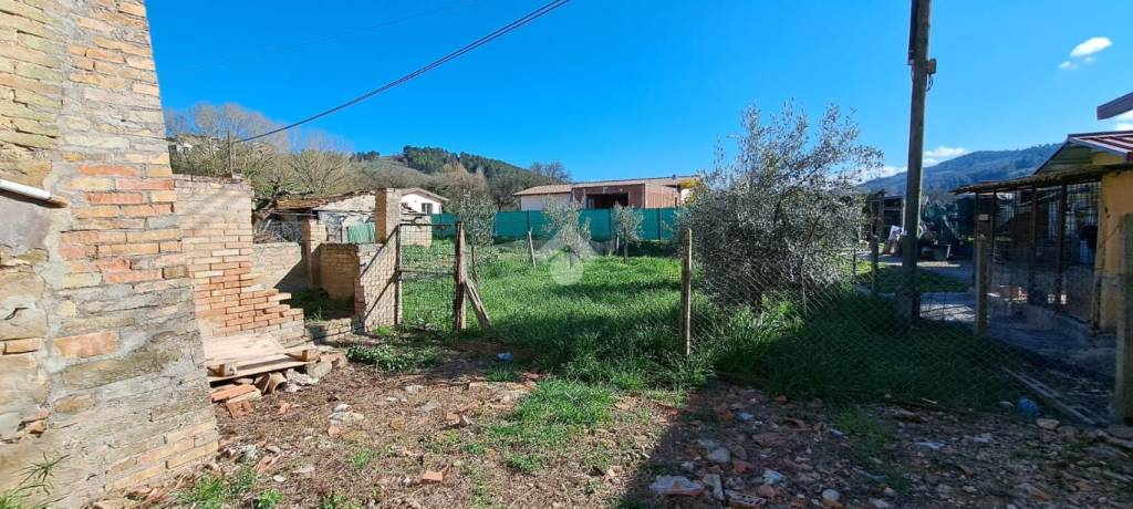 immagine annuncio 9 di 13