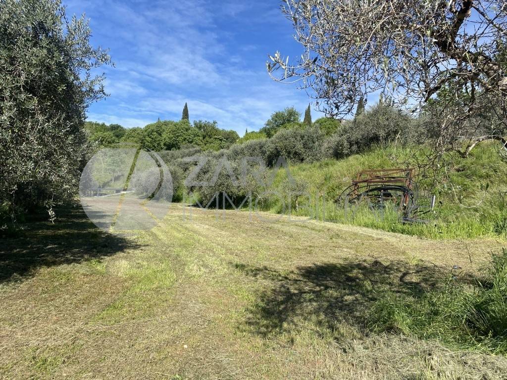 immagine annuncio 1 di 6
