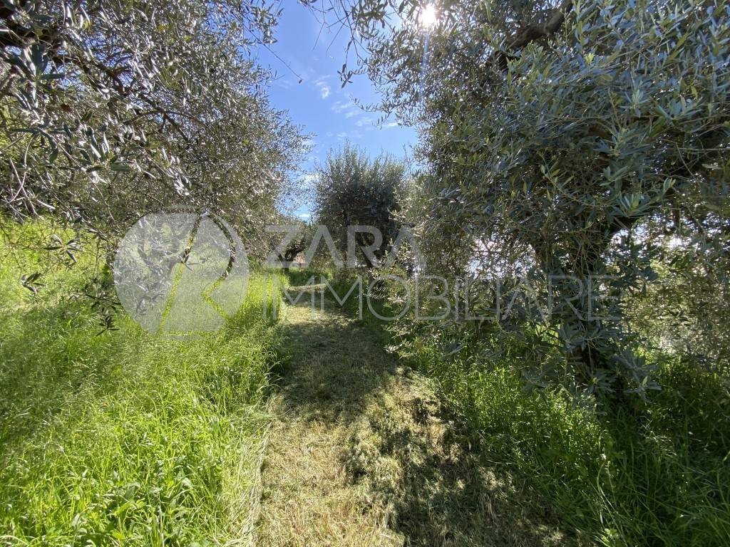 immagine annuncio 3 di 6