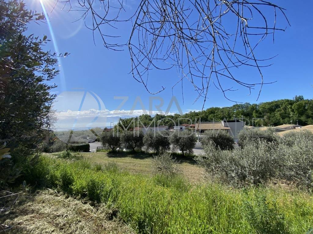 immagine annuncio 5 di 6
