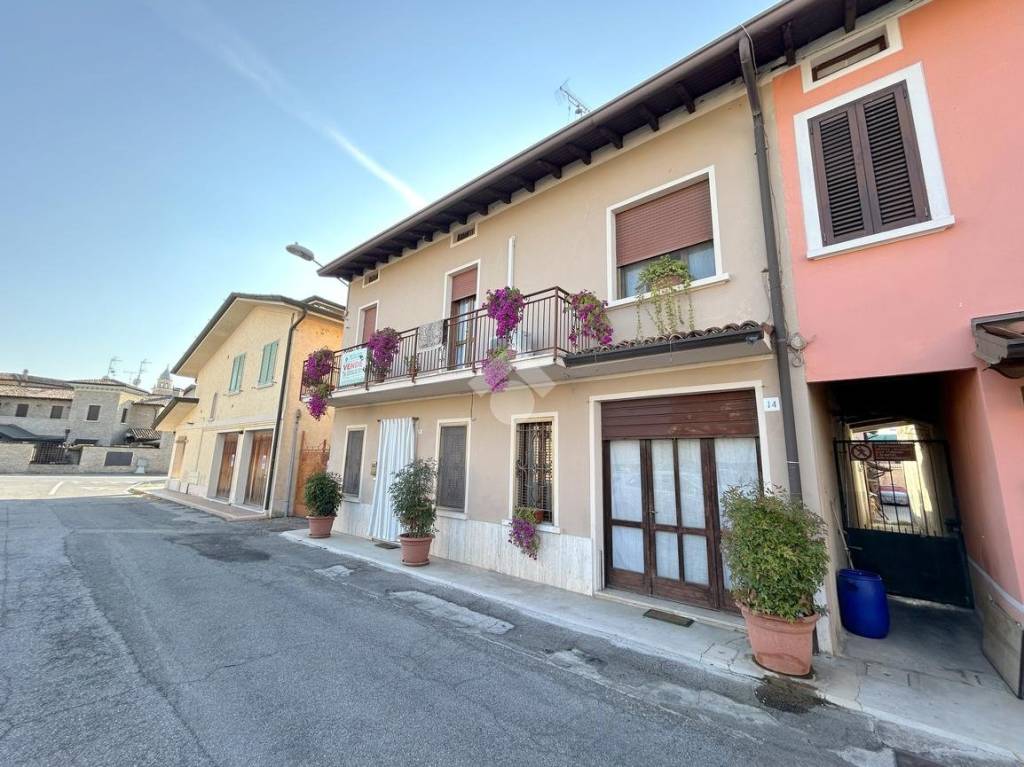 immagine annuncio 3 di 15