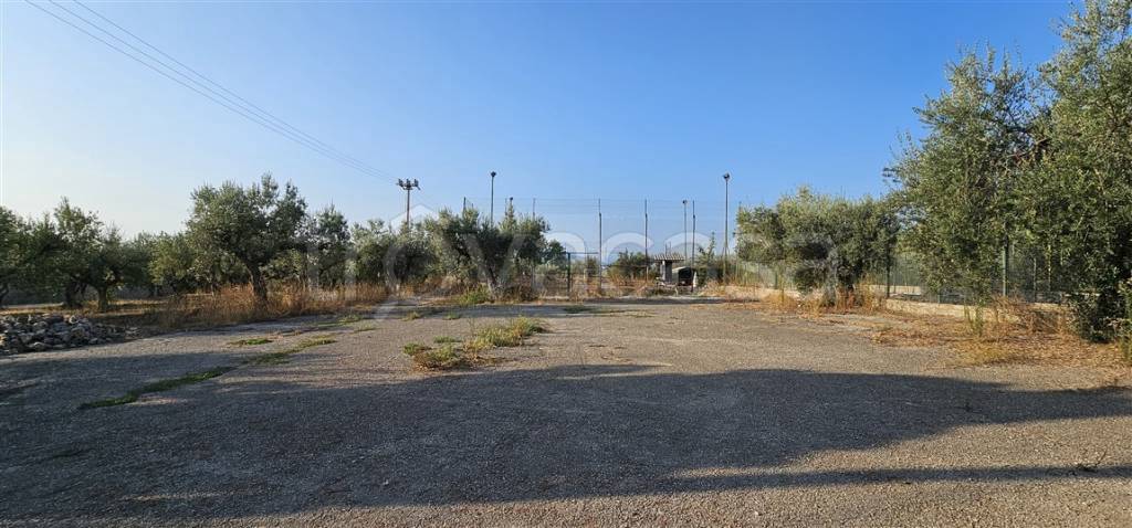 immagine annuncio 2 di 6