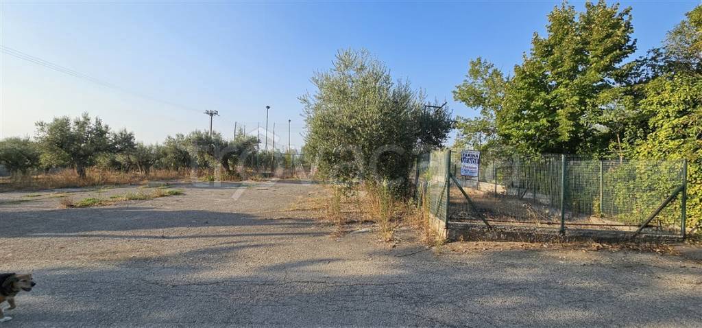 immagine annuncio 3 di 6