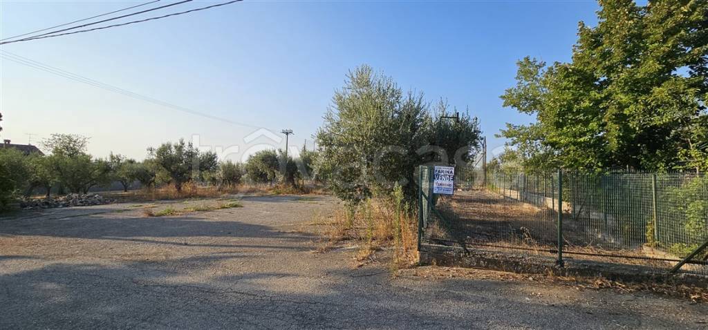 immagine annuncio 4 di 6