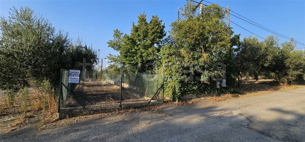 immagine annuncio 1 di 6