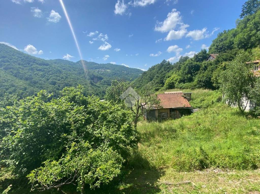 immagine annuncio 2 di 13