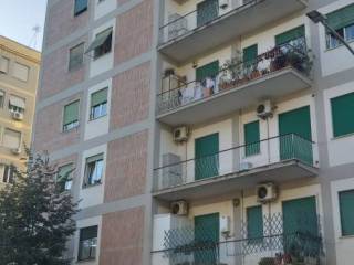 Appartamento in in vendita da privato a roma via roberto malatesta, 70