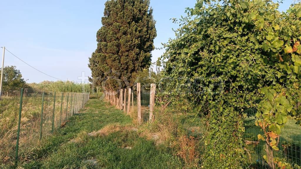 immagine annuncio 8 di 12