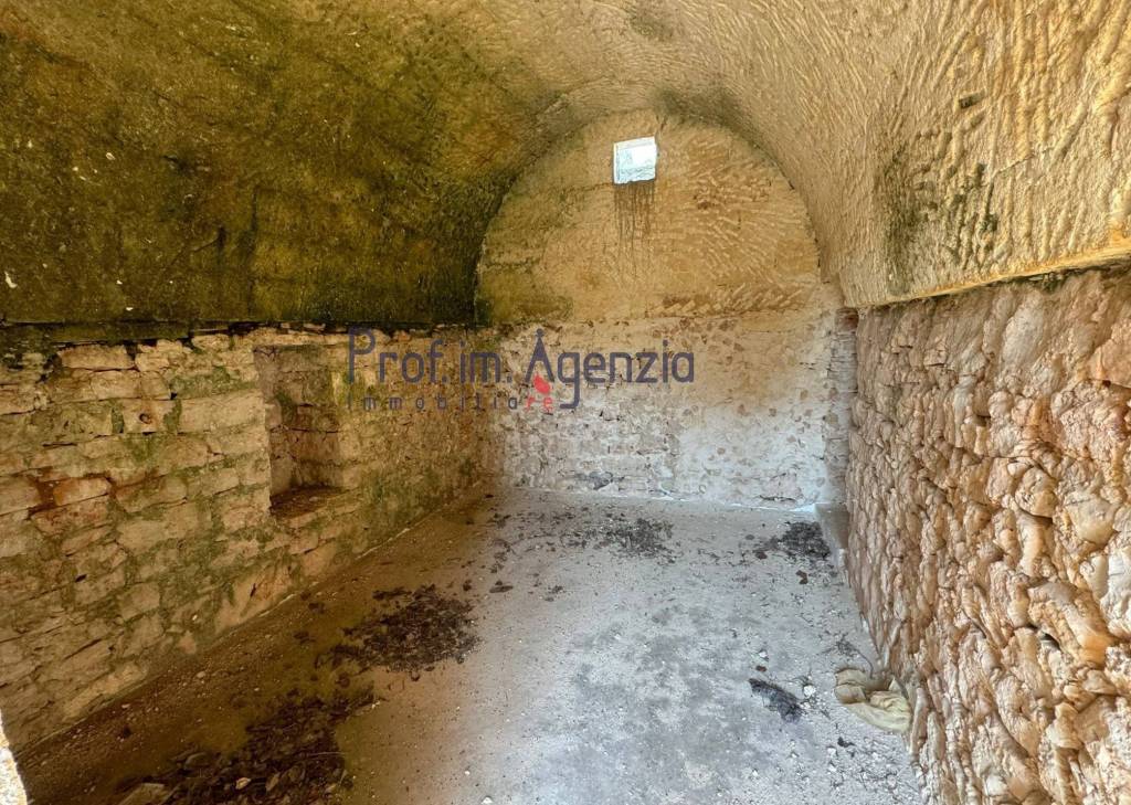 immagine annuncio 7 di 13