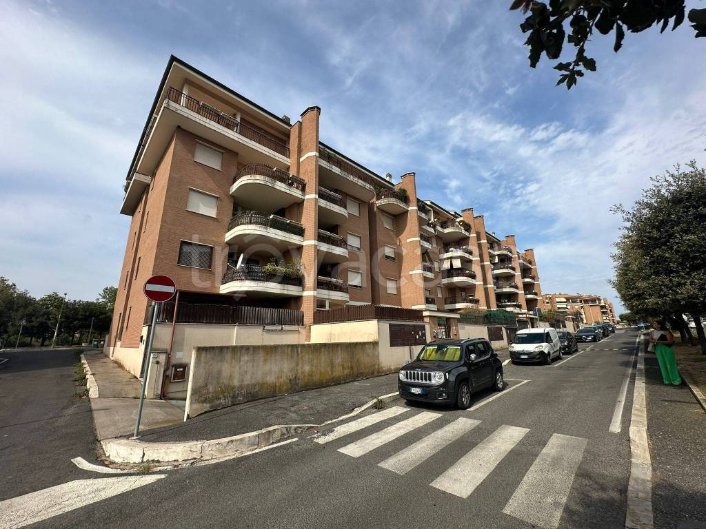 immagine annuncio 2 di 12