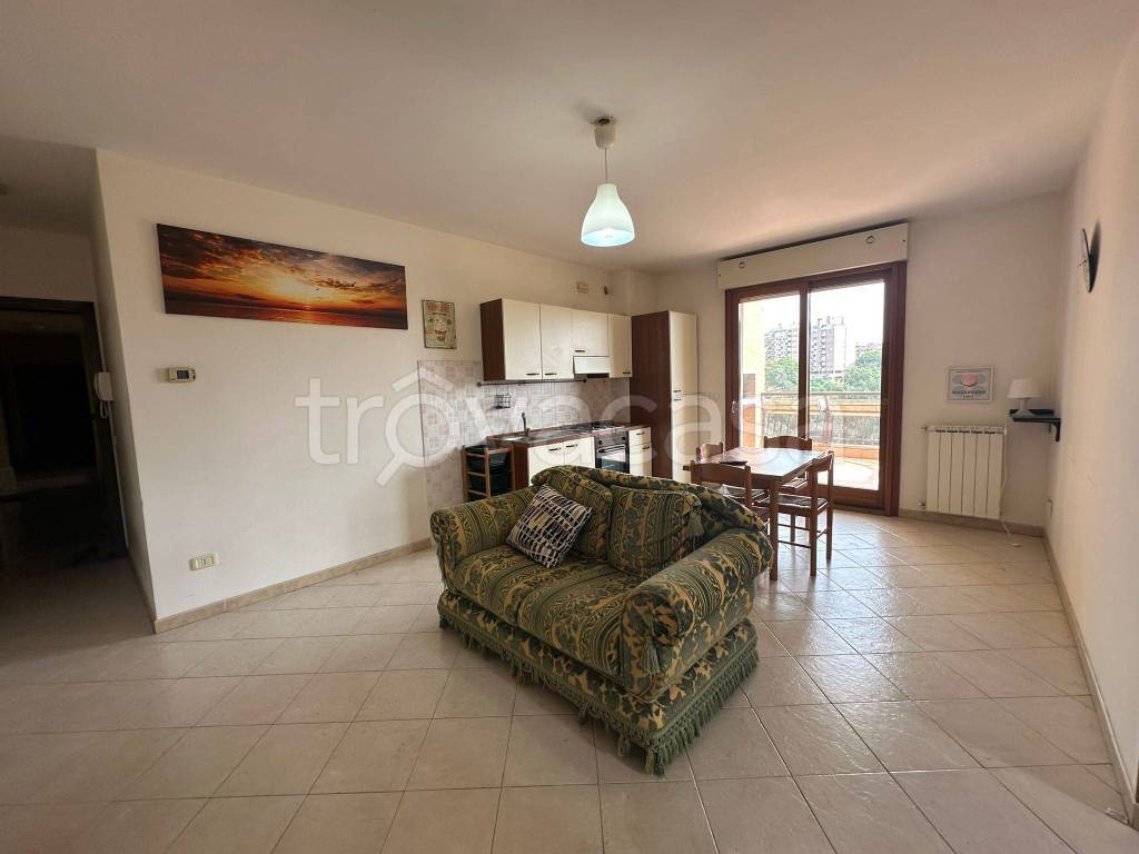 immagine annuncio 5 di 12