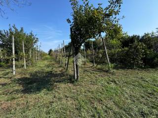 Terreno agricolo in vendita a mirano 