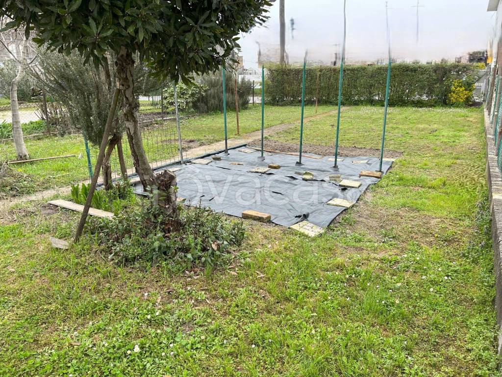 immagine annuncio 2 di 14