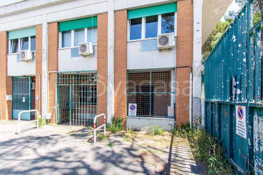 immagine annuncio 5 di 7