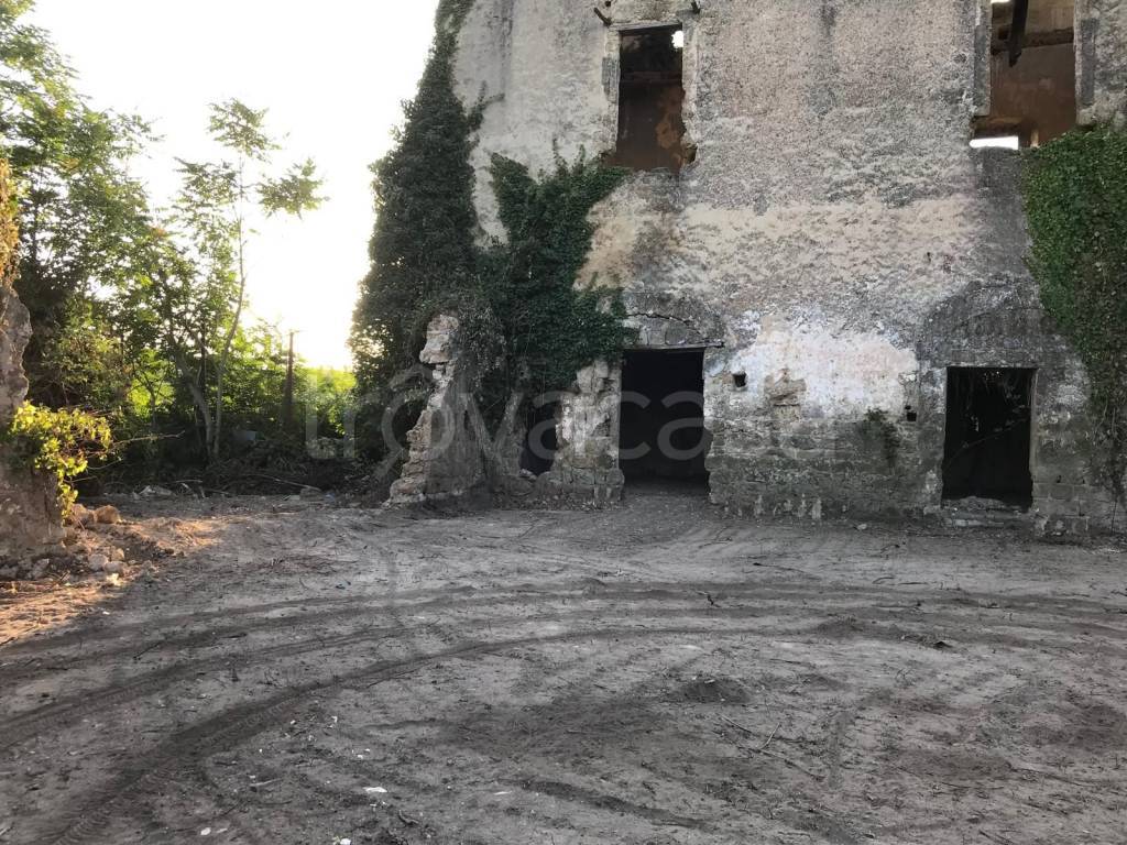 immagine annuncio 7 di 14