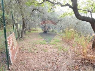 Terreno agricolo in vendita a quiliano 