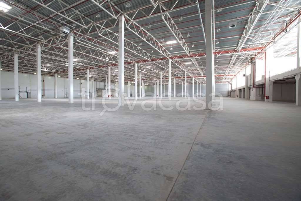 immagine annuncio 6 di 9