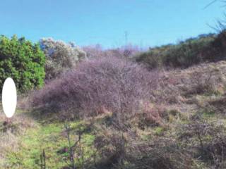 Terreno agricolo all'asta a orsara di puglia località roscagatti, n. snc