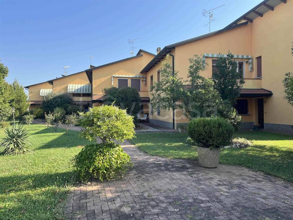 immagine annuncio 1 di 15
