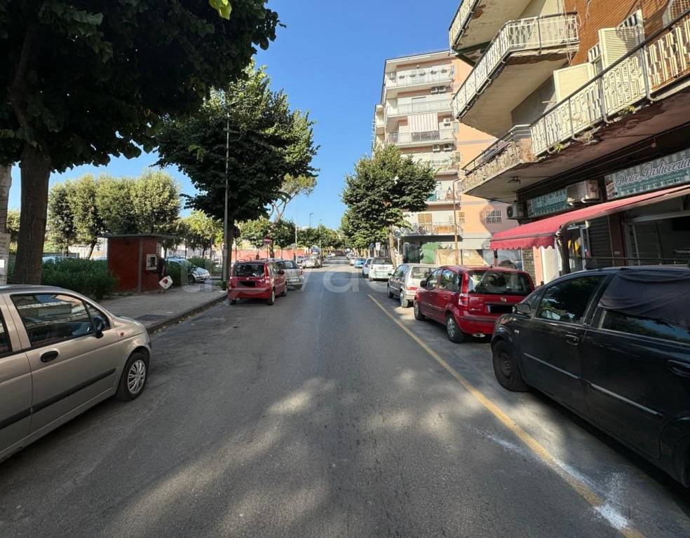 immagine annuncio 8 di 11